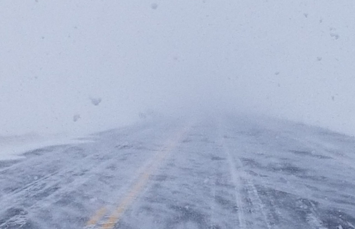 Được biết, dịch vụ xe buýt tại Fargo, Bắc Dakota, và Moorhead, bang Minnesota, đã phải tạm ngừng vào chiều 27/12 do đường xấu. Ảnh: Twitter.