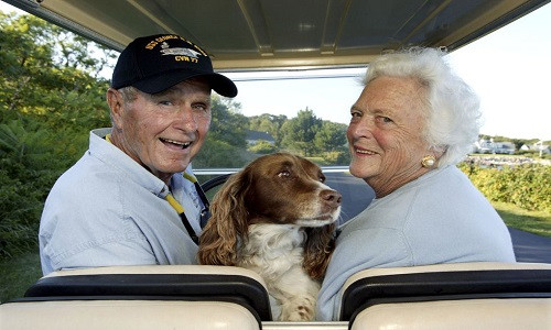Vợ chồng ông Bush từng sống nhiều ngày ở Kennebunkport, Maine, với chú chó cưng của họ, Millie.