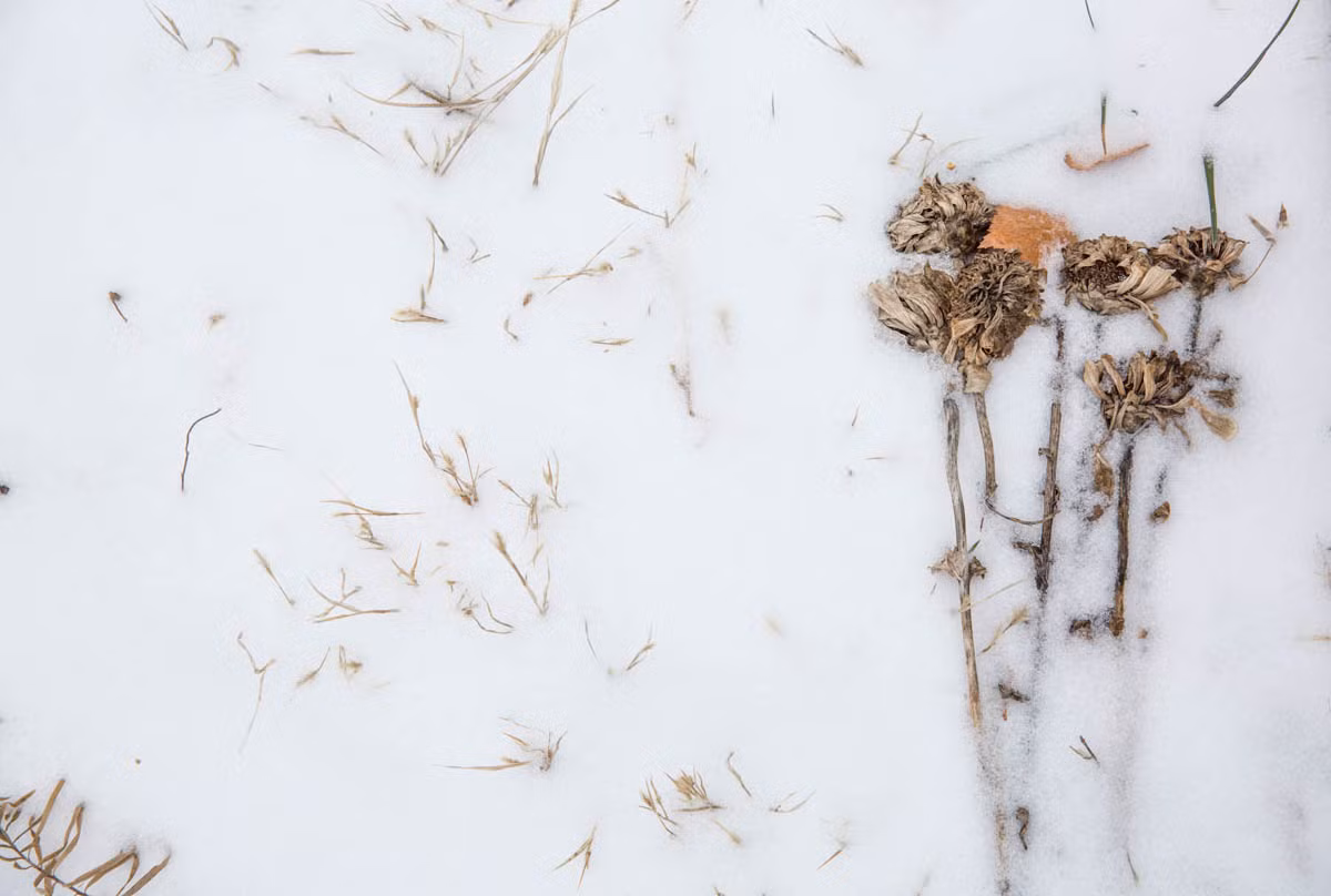 Cuoc song am dam cua nguoi dan o mien Dong Ukraine-Hinh-15