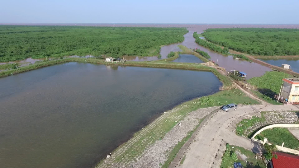 Hai du an tren 1.100 ty lam truoc xin duyet sau o Thai Binh: Hoi trach nhiem Chu tich tinh?