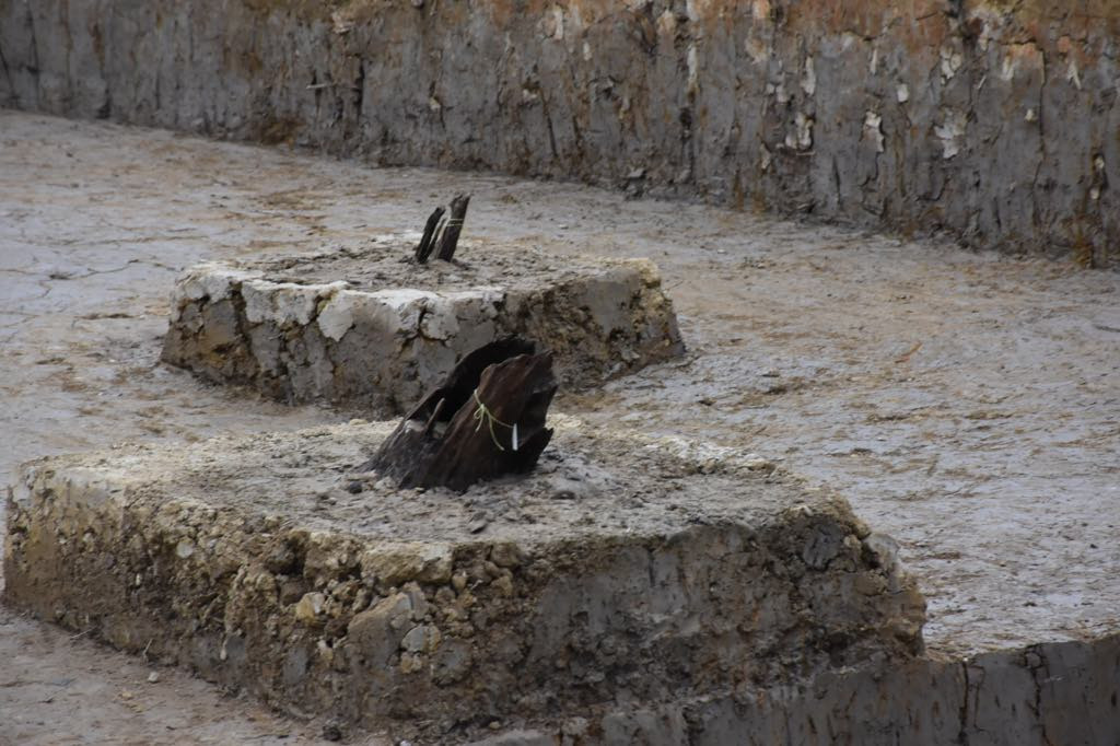 Đồng thời chỉ đạo các sở, ngành chức năng tiếp tục phối hợp với Viện Khảo cổ học và các đơn vị liên quan tổ chức khảo sát tổng thể trên phạm vi rộng từ khu vực xã Liên Khê dọc theo sông Đá Bạc đến Khu Di tích lịch sử Bạch Đằng Giang, thị trấn Minh Đức để lập quy hoạch và xây dựng Dự án hạ tầng kỹ thuật nhằm khai thác, phát huy giá trị của bãi cọc Cao Quỳ cùng các các di tích trong khu vực.