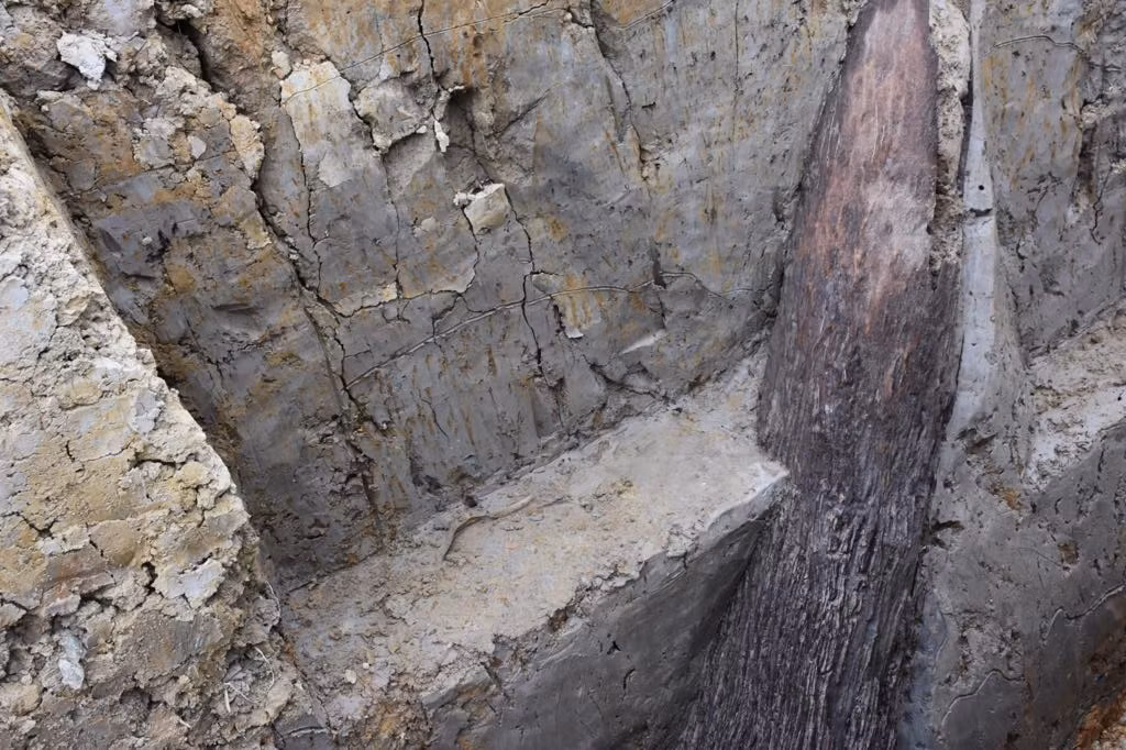 Hải Phòng cần triển khai ngay biện pháp bảo tồn và phát huy di tích; phải đưa ra khung pháp lý bảo vệ như hoàn thiện các thủ tục để đưa bãi cọc vào di tích cấp thành phố. Bên cạnh đó, phải có cách làm tái hiện lại trận chiến thắng Bạch Đằng trên đất Hải Phòng để giáo dục cho các thế hệ.