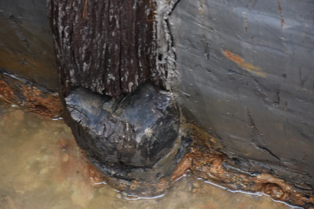 PGS.TS Đặng Văn Bài, Phó Chủ tịch Hội đồng Di sản văn hóa quốc gia, nguyên Cục trưởng Cục Di sản văn hóa nhấn mạnh, việc phát hiện ra ra bãi cọc cổ này sẽ giúp các nghiên cứu, nhìn nhận về chiến thắng Bạch Đằng được sâu sắc và hoàn thiện hơn, góp phần chứng minh lịch sử quân sự và nghệ thuật quân sự của cha ông ta. 