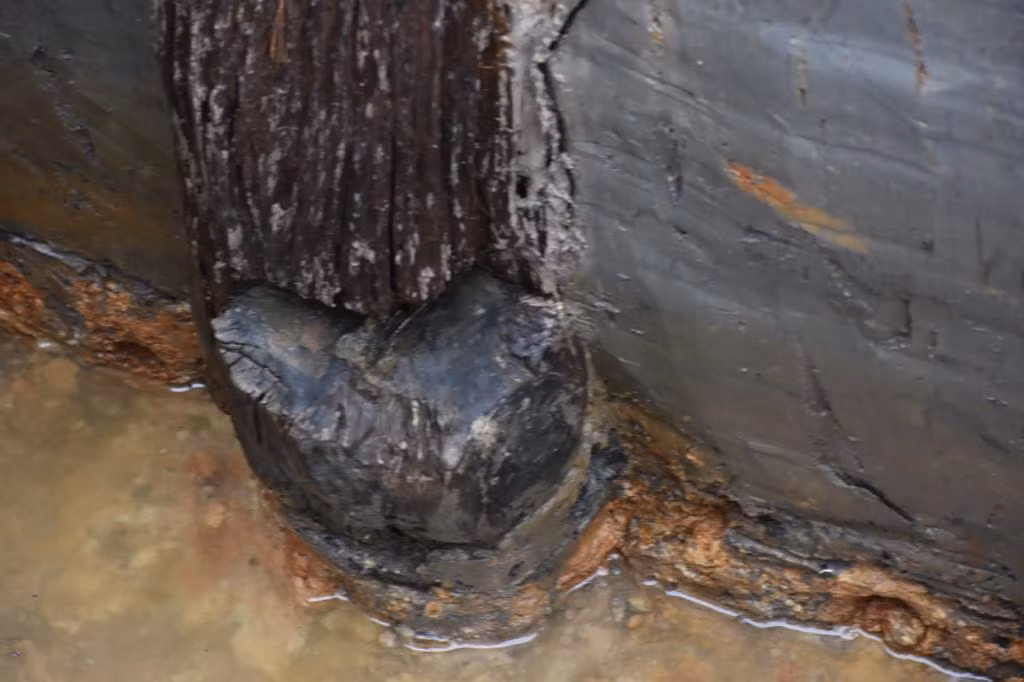 PGS.TS Đặng Văn Bài, Phó Chủ tịch Hội đồng Di sản văn hóa quốc gia, nguyên Cục trưởng Cục Di sản văn hóa nhấn mạnh, việc phát hiện ra ra bãi cọc cổ này sẽ giúp các nghiên cứu, nhìn nhận về chiến thắng Bạch Đằng được sâu sắc và hoàn thiện hơn, góp phần chứng minh lịch sử quân sự và nghệ thuật quân sự của cha ông ta. 