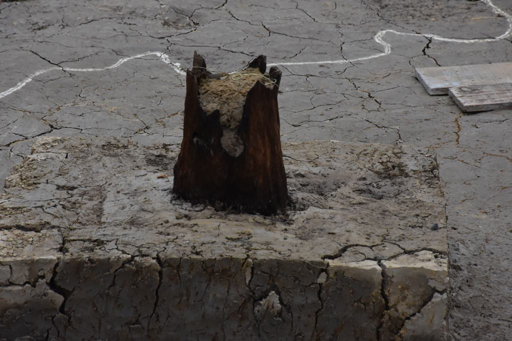 Ông Trần Đình Thành, Phó Cục trưởng Cục Di sản Văn hóa, Bộ Văn hóa, Thể thao và Du lịch cho rằng, chiến trận Bạch Đằng dù đã được nói nhiều trong sử sách, nhưng phát hiện vật chất chưa nhiều. Việc phát hiện lần này cho thấy, cần có nghiên cứu tổng thể toàn bộ mối liên kết đối với trận đánh Bạch Đằng, nên ý nghĩa của bãi cọc này rất quan trọng. Ông Trần Đình Thành cơ bản thống nhất với các nhà nghiên cứu, bãi cọc này gắn với trận thủy chiến Bạch Đằng là khá rõ ràng. 