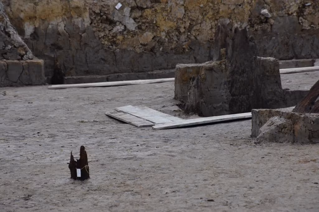 GS.TSKH Vũ Minh Giang, Chủ tịch Hội đồng chức danh Giáo sư liên ngành Lịch sử - Khảo cổ - Dân tộc học, Phó Chủ tịch Hội đồng Di sản văn hóa quốc gia cũng đề nghị thành phố cần có biện pháp để bảo vệ bãi cọc không bị xâm phạm. 