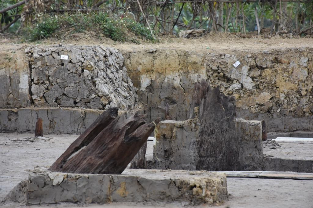 GS.TS Nguyễn Quang Ngọc, Phó Chủ tịch Hội Khoa học lịch sử Việt Nam đánh giá đây bãi cọc Cao Quỳ, xã Liên Khê là phát hiện có ý nghĩa đặc biệt quan trọng, từ đó xác định rõ hơn tất cả những nghiên cứu từ trước đến nay về trận chiến Bạch Đằng năm 1288 là đúng và có cơ sở.