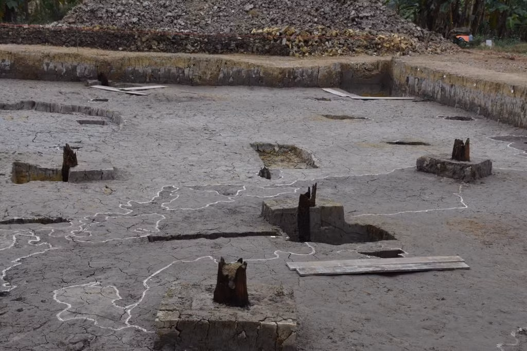 Tiến hành khai quật bãi cọc cánh đồng Cao Quỳ, các cơ quan chức năng đã phát hiện 27 cọc tại 3 hố khai quật. Các cọc xuất lộ đã bị gãy phần đầu, gỗ màu đỏ sẫm, rắn chắc, theo lời dân địa phương thì có thể là loại gỗ sến nhựa và lim.