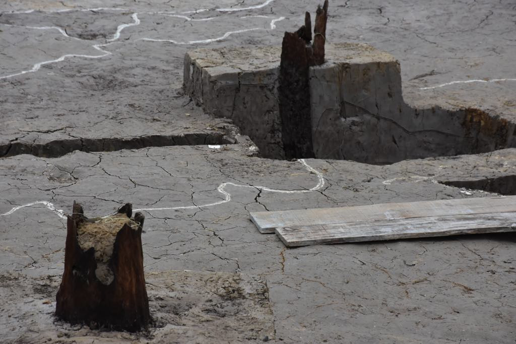 Ngoài ra, các nhà khảo cổ cũng tìm thấy nhiều hiện vật bằng sắt có thể liên quan đến công cụ, vũ khí; và các hiện vật bằng gốm khi tiến hành khai quật tại cánh đồng Cao Quỳ. Đó là những tư liệu cực kỳ quý giá, sẽ được bổ sung vào kho tàng lịch sử Việt Nam.