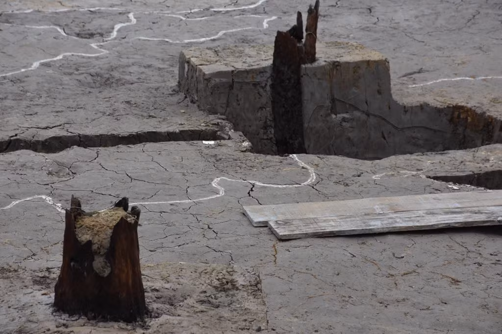 Ngoài ra, các nhà khảo cổ cũng tìm thấy nhiều hiện vật bằng sắt có thể liên quan đến công cụ, vũ khí; và các hiện vật bằng gốm khi tiến hành khai quật tại cánh đồng Cao Quỳ. Đó là những tư liệu cực kỳ quý giá, sẽ được bổ sung vào kho tàng lịch sử Việt Nam.