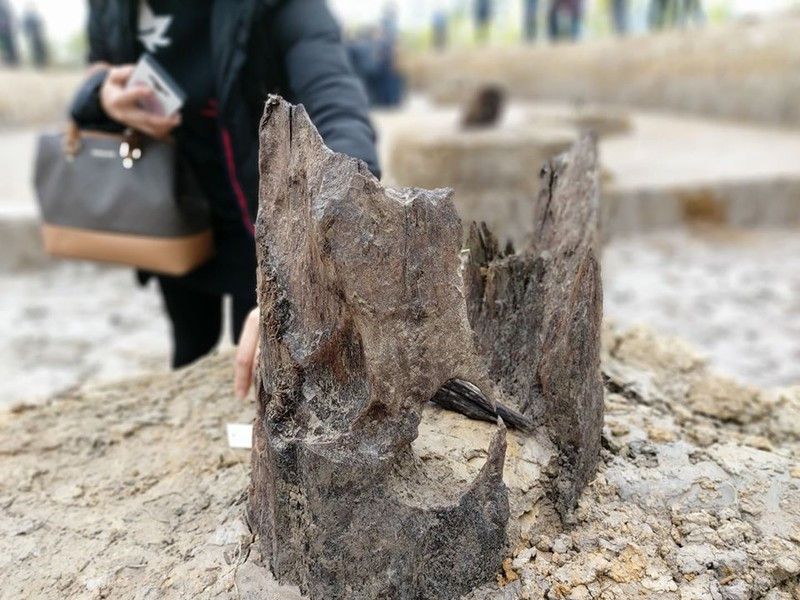 Đây không chỉ là chiến công vĩ đại bậc nhất của dân tộc Việt Nam mà còn là chiến công mang tầm thời đại có ý nghĩa quốc tế vô cùng to lớn. Đóng góp của trận đánh Bạch Đằng đã làm rạng rỡ công danh, lịch sử, cội nguồn của dân tộc. Việc làm rõ hơn chiến thắng Bạch Đằng là cố gắng cao của các nhà khoa học, khảo cổ học, sử học trong nước. 