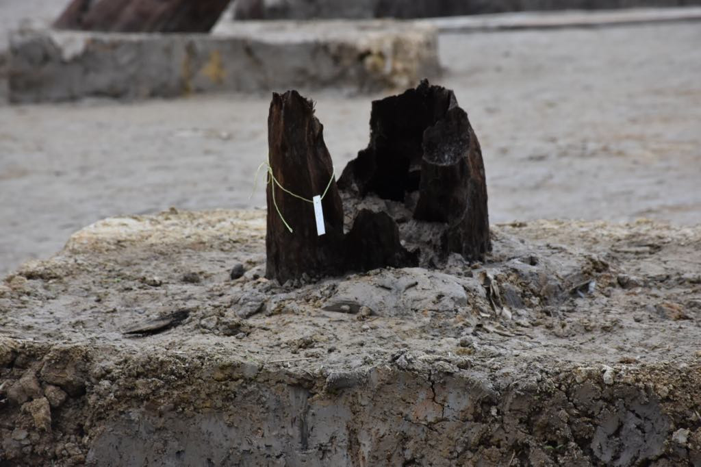 Đồng thời, theo ông Quốc, thành phố nên mở rộng phạm vi khảo sát; có thể khai thác bãi cọc thành khu công viên, di tích, nơi chứng tích đầy đủ nhất về trận chiến Bạch Đằng, có thể xây dựng rừng lim để tạo cảnh quan xung quanh và mong lãnh đạo thành phố coi đây là cách triển khai lâu dài, bền vững; có kế hoạch để bảo vệ di tích một cách khoa học, từ đó phát huy giá trị của di tích để làm nơi sinh hoạt văn hóa cho nhân dân. 