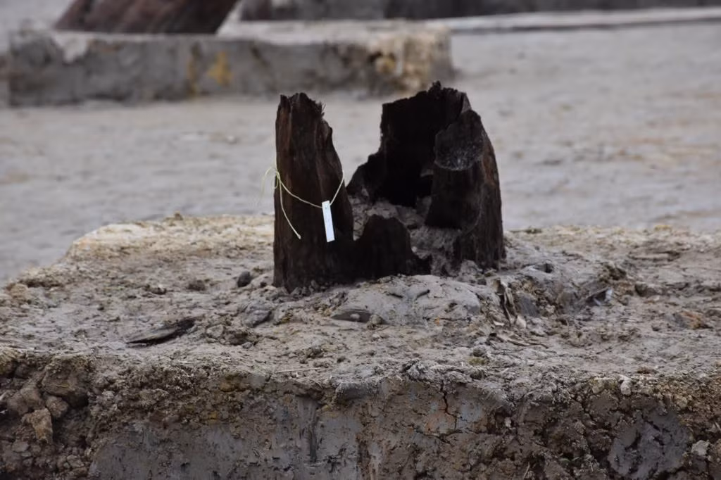 Đồng thời, theo ông Quốc, thành phố nên mở rộng phạm vi khảo sát; có thể khai thác bãi cọc thành khu công viên, di tích, nơi chứng tích đầy đủ nhất về trận chiến Bạch Đằng, có thể xây dựng rừng lim để tạo cảnh quan xung quanh và mong lãnh đạo thành phố coi đây là cách triển khai lâu dài, bền vững; có kế hoạch để bảo vệ di tích một cách khoa học, từ đó phát huy giá trị của di tích để làm nơi sinh hoạt văn hóa cho nhân dân. 