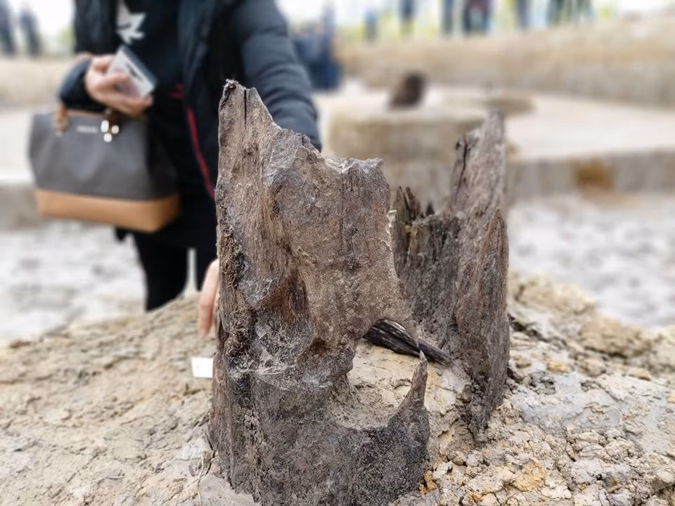 Nong dan phat hien bai coc Cao Quy: Thay doi nhan thuc tran Bach Dang lich su-Hinh-4