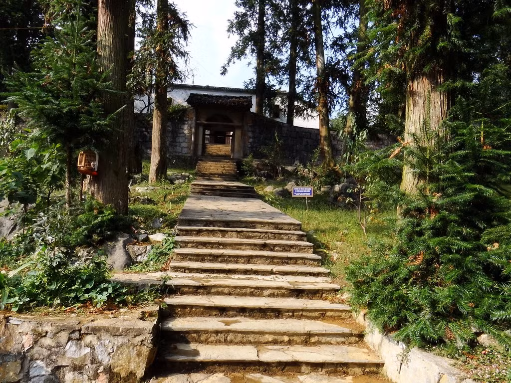 Lối dẫn vào dinh thự của vua Mèo Vương Chính Đức là hai hàng sa mộc đứng uy nghiêm, rắn chắc như những người lính gác bảo vệ sự an toàn cho vua. Các cây sa mộc này được mang từ Trung Quốc về, trồng bên ngoài tường thành.