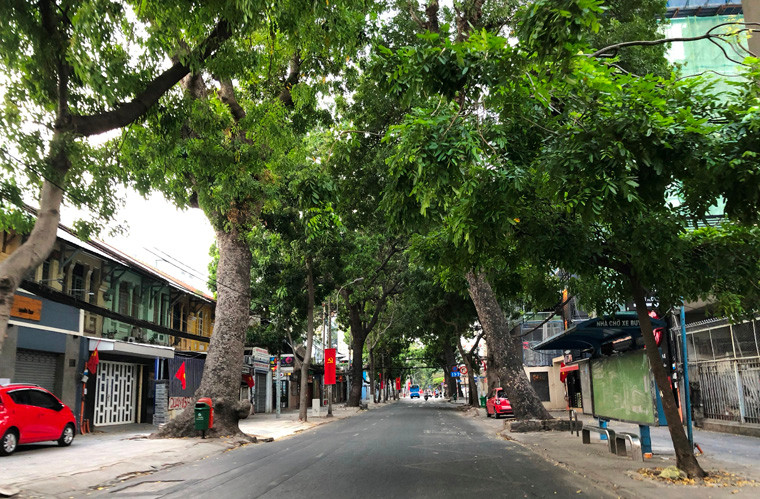 Đường Nguyễn Đình Chiểu, quận 1 chỉ nghe tiếng lá bay xào xạc...