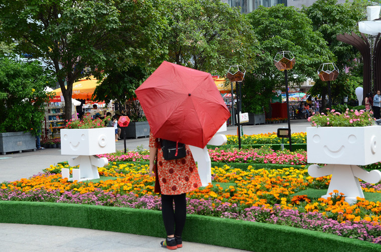 Phải dùng đến ô mới có thể ngắm hoa khoe sắc trên đường hoa Tết Kỷ Hợi lớn nhất Sài Gòn.