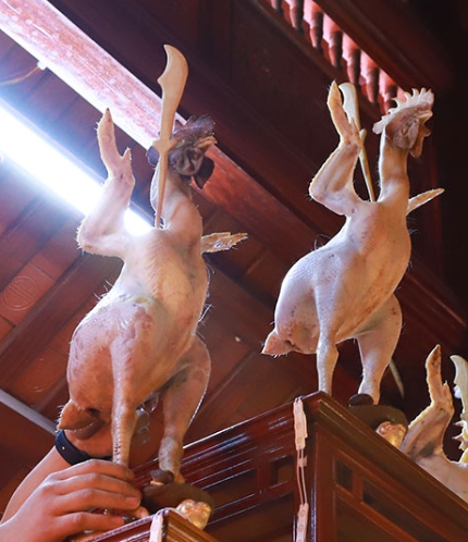 Được biết người dân phải mất 3-4 tiếng đồng hồ mới làm xong một con gà cúng như thế này. Ảnh: Báo Hà Tĩnh, Fanpage Nghệ An