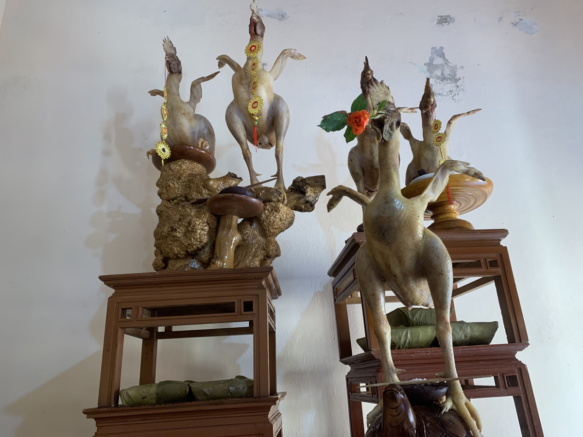 Không chỉ tạo hình gà cúng theo các tư thế độc đáo, họ còn sáng tạo, điểm thêm nhiều chi tiết cho lễ vật như cho gà ngậm hoa, cầm thanh đao, hoặc lắp cánh phượng cho gà,...