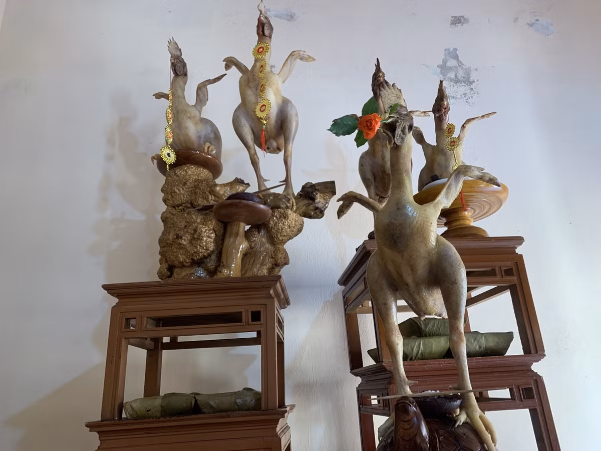 Không chỉ tạo hình gà cúng theo các tư thế độc đáo, họ còn sáng tạo, điểm thêm nhiều chi tiết cho lễ vật như cho gà ngậm hoa, cầm thanh đao, hoặc lắp cánh phượng cho gà,...