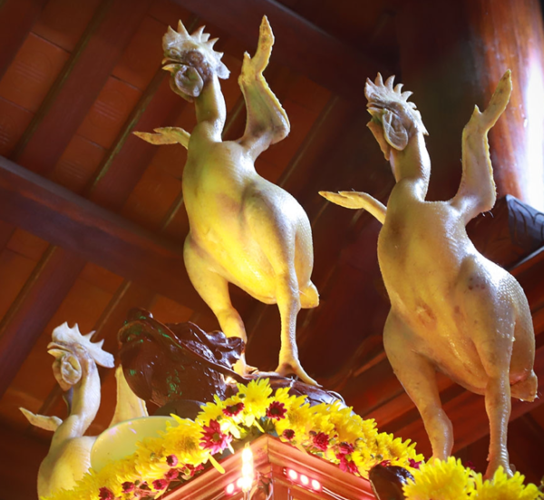 Sau khi chia sẻ lên MXH mâm cúng "phi đội" gà này nhận về nhiều lượt yêu thích.