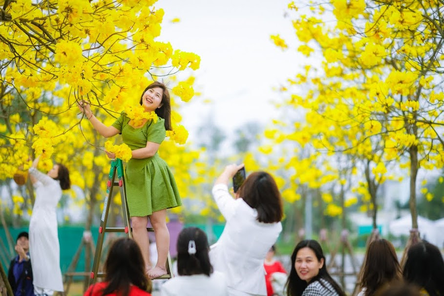 Cây phong linh nở hoa rực rỡ nhất vào khoảng từ tháng 3 đến tháng 5. Khi mùa khô đến, phong linh sẽ rụng hết lá, sau đó mới trổ hoa. Bông hoa có kích thước lớn, nở thành chùm, hình dáng giống chiếc chuông.