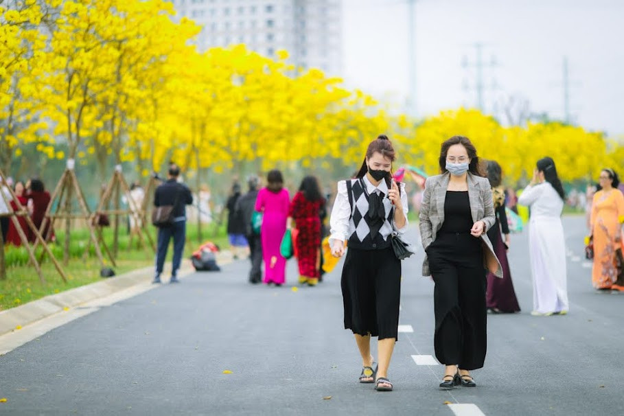Những ngày này, đường hoa phong linh này luôn thu hút hàng trăm người đến chụp ảnh, ngắm hoa mỗi ngày.