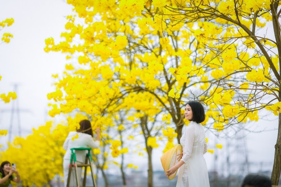 Các bạn trẻ cùng nhau ghi lại những bức hình đẹp bên cạnh hàng hoa phong linh đặc biệt.