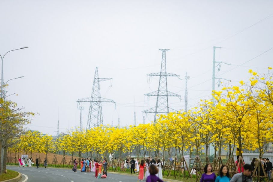 Hàng hoa phong linh thu hút sự chú ý và yêu thích của mọi độ tuổi.