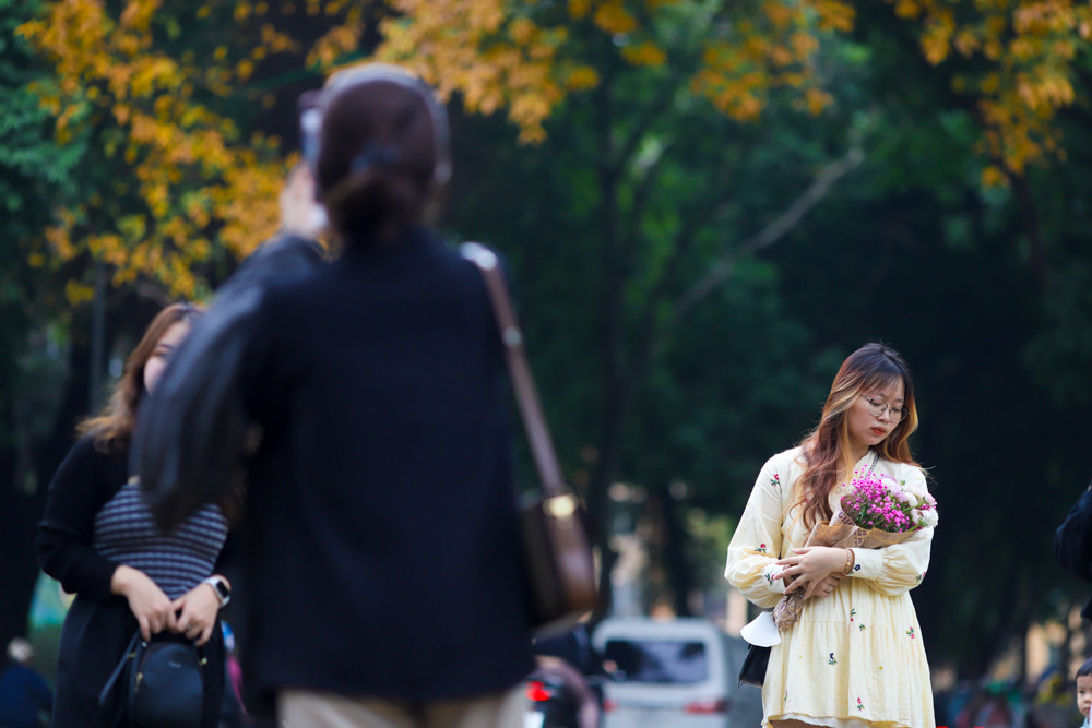 Thời điểm tốt nhất để chụp hình là buổi chiều, khi có ánh nắng xuyên qua tán lá.