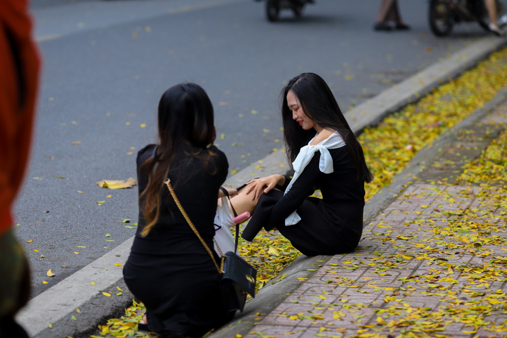 Hàng năm, cứ vào cuối Xuân đầu Hạ, sau những cơn mưa rào chợt đến rồi vội đi, đường phố Hà Nội mùa thay lá lại được trải một tấm thảm lá vàng ươm.