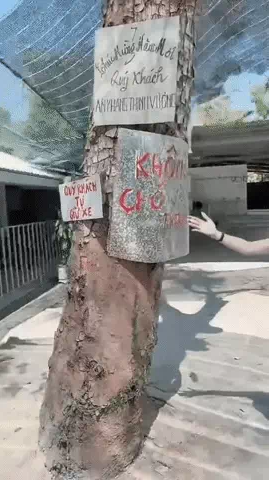 Những biển báo về quy định trong nhà hàng, quán ăn là hình ảnh thường thấy và khá quen thuộc. Mặc dù không ít thực khách chẳng buồn đọc đến những tấm biển đấy nhưng các quán ăn vẫn treo lên để nhắc nhở.