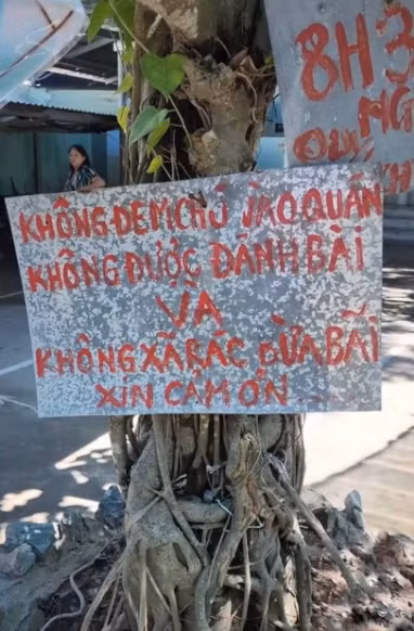 Từ gốc cây ngoài sân cho đến cột nhà hay trước cửa nhà vệ sinh,...đều được treo đầy các biển quy định của quán.