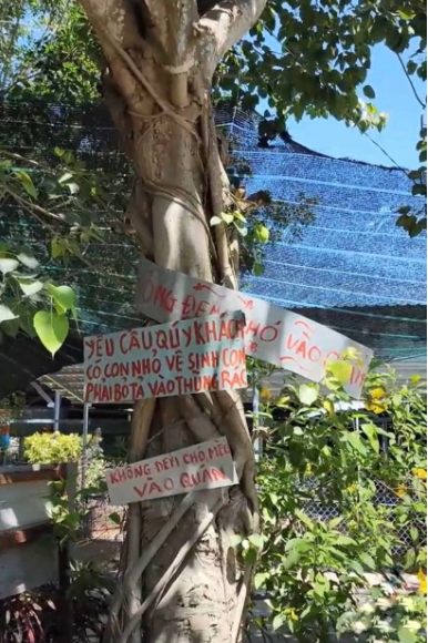 Bên cạnh bình luận thích thú nhiều netizen lại không đồng tình cách làm này của chủ quán. Họ cho rằng treo biển quy định quá nhiều và rườm rà, chỉ cần đóng một cái bảng lớn với cả loạt các quy định trên là xong.