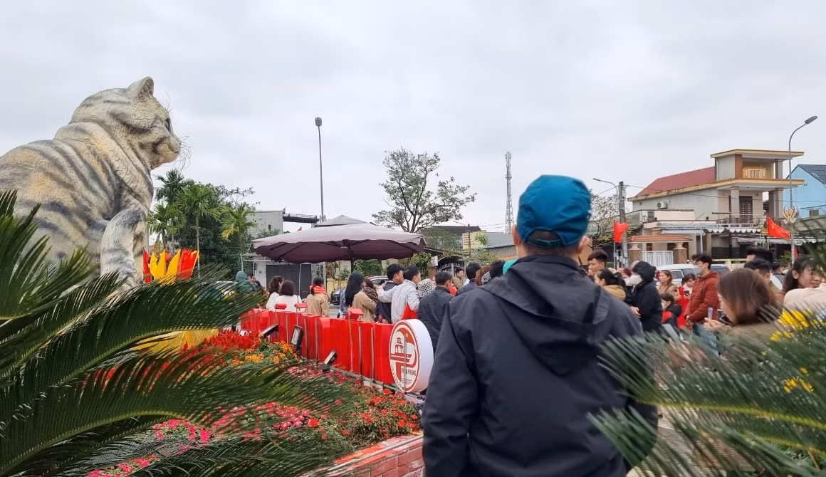 Dù là trước hay sau Tết linh vật mèo ở Quảng Trị vẫn dẫn đầu trong dàn linh vật năm Qúy Mão, thu hút lượng khách tham quan đông đảo. Ảnh: Hưng Thơ