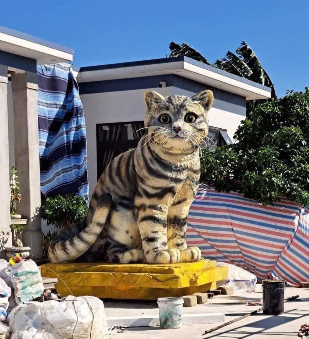 Hậu Tết số phận “hoa hậu mèo” Quảng Trị ra sao? Hau Tet so phan “hoa hau meo” Quang Tri ra sao?