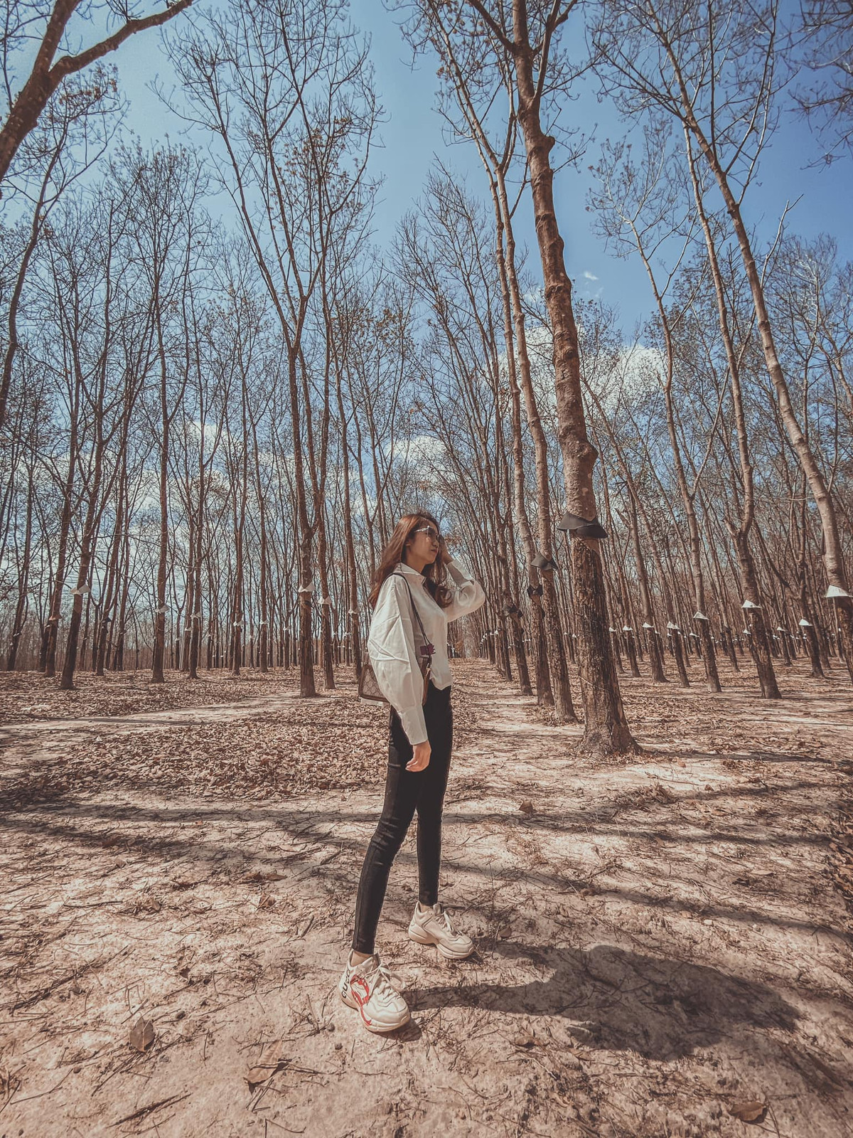 Rừng cao su cũng là địa điểm đáng ghé qua mỗi lần du lịch Gia Lai. Ảnh: Ngan Nguyen