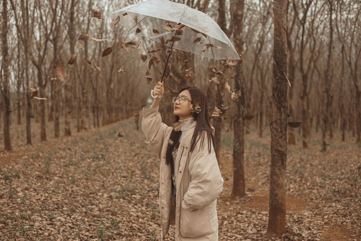 Dưới ánh nắng lấp lo sau những cánh rừng cao su mùa khô, nhiều giới trẻ đã kéo nhau về chụp ảnh check in lưu giữ những khoảnh khắc đẹp. Ảnh: Binh Nguyen