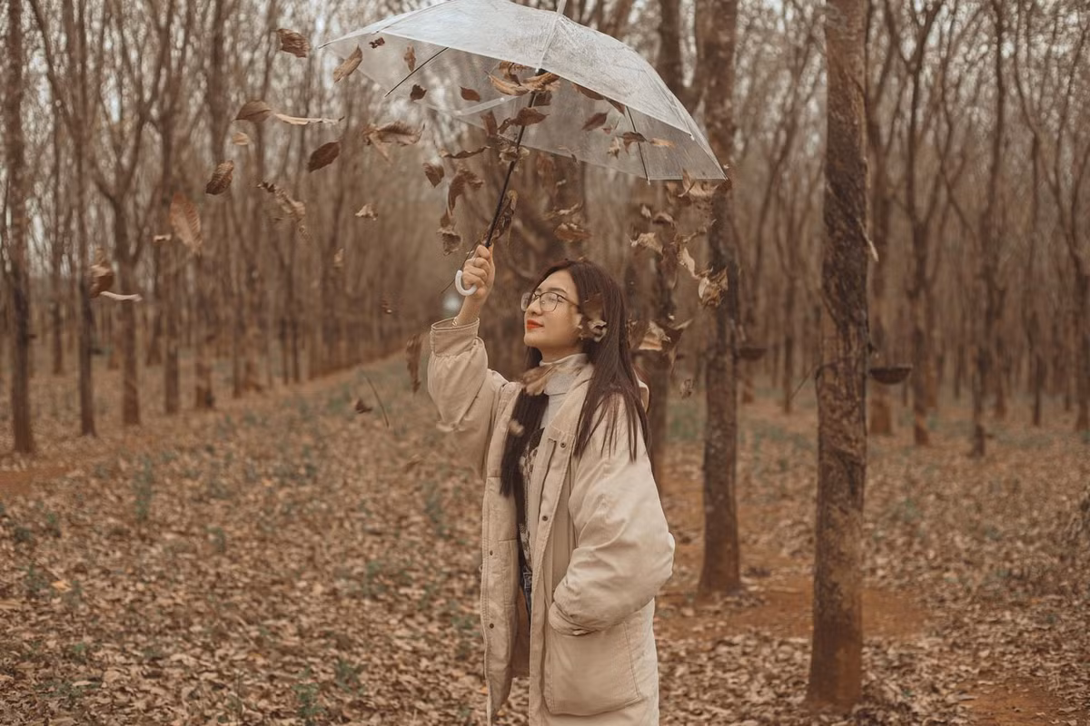 Dưới ánh nắng lấp lo sau những cánh rừng cao su mùa khô, nhiều giới trẻ đã kéo nhau về chụp ảnh check in lưu giữ những khoảnh khắc đẹp. Ảnh: Binh Nguyen