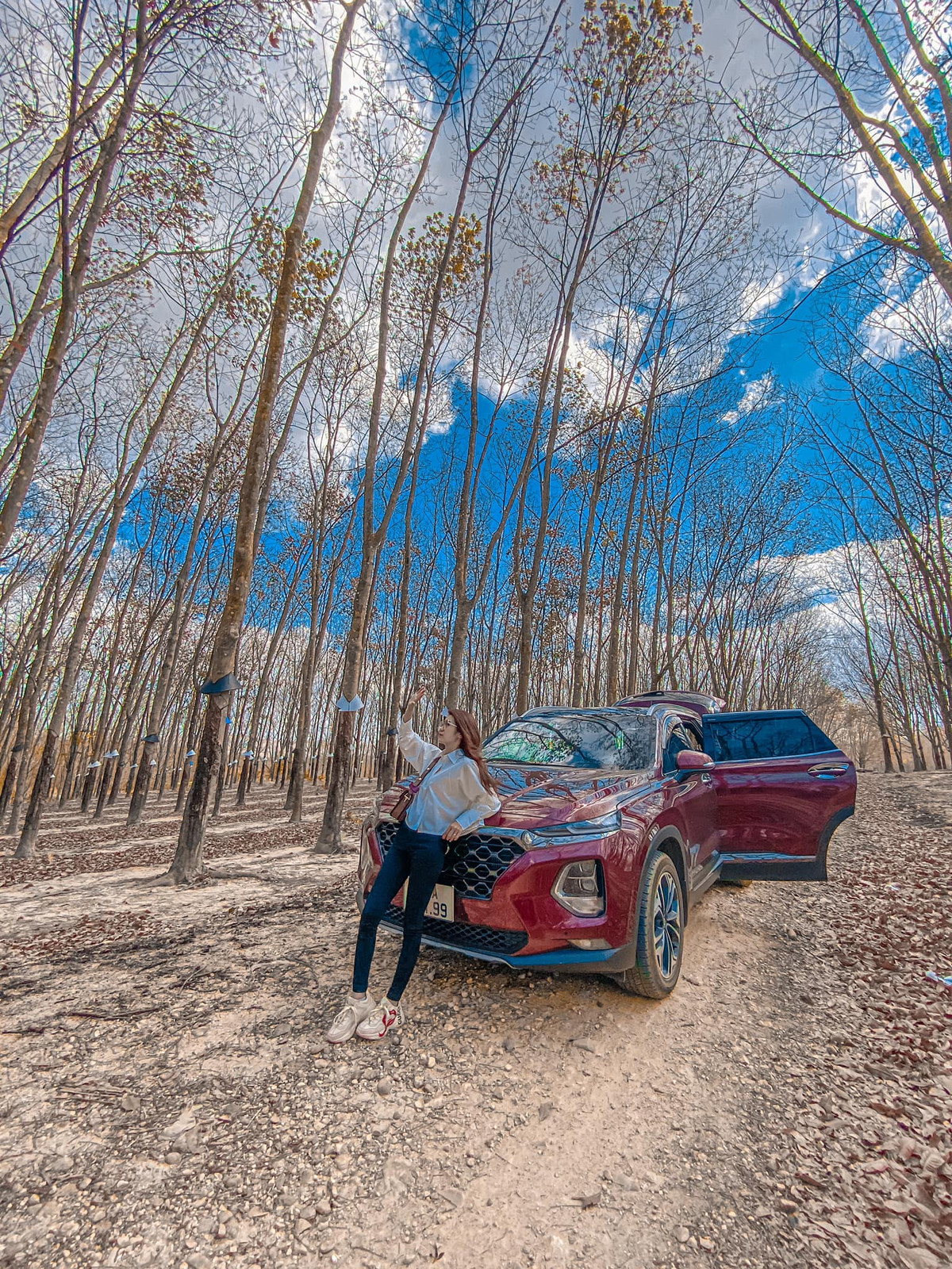 Khoảnh khắc những chiếc lá cao su rụng đầy trên mặt đất đã tạo nên quang cảnh đẹp đến nao lòng. Ảnh: Ngan Nguyen