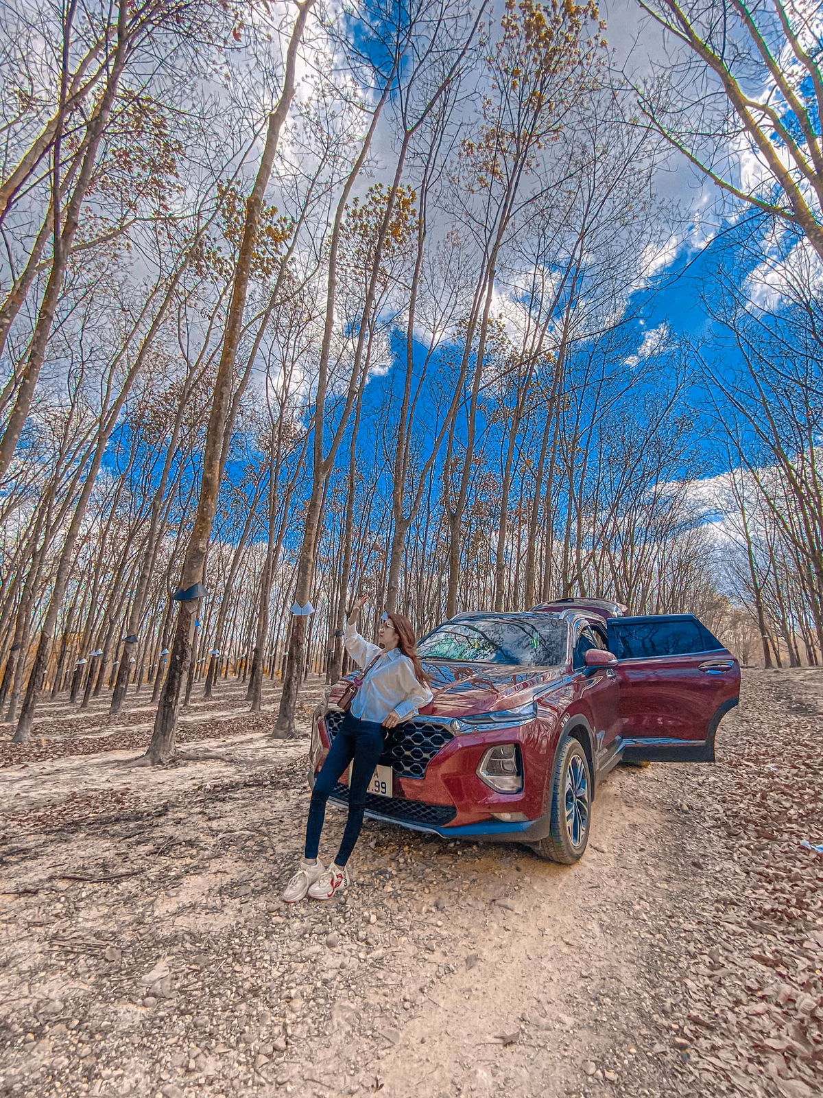 Khoảnh khắc những chiếc lá cao su rụng đầy trên mặt đất đã tạo nên quang cảnh đẹp đến nao lòng. Ảnh: Ngan Nguyen