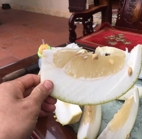 Cách bổ bưởi độc lạ này khá tương đồng với kiểu bổ cam, điều đó khiến cho cô gái lập tức đặt ra câu hỏi, không hiểu vì sao mà nhà hàng lại bổ như vậy.