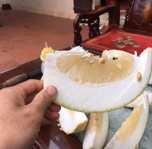 Cách bổ bưởi độc lạ này khá tương đồng với kiểu bổ cam, điều đó khiến cho cô gái lập tức đặt ra câu hỏi, không hiểu vì sao mà nhà hàng lại bổ như vậy.