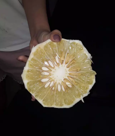 Màn thảm họa bổ bưởi của cô gái này bị loại ngay từ vòng chọn bưởi. Bưởi trắng trái nhỏ, múi nhỏ hẹp, không đồng đều nên sau khi bổ đôi, khó có thể tách múi. Ảnh: Tổng hợp