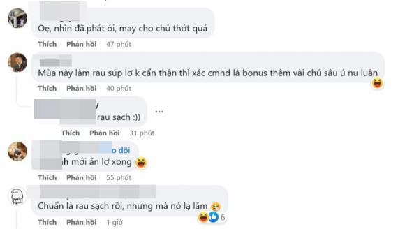 Cư dân mạng không ngừng tá hỏa với cảnh tượng sâu bám đầy trên miếng súp lơ.