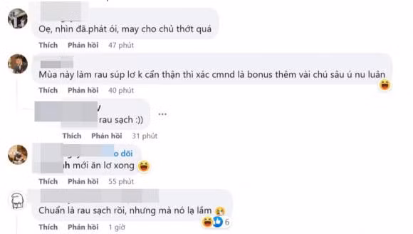 Cư dân mạng không ngừng tá hỏa với cảnh tượng sâu bám đầy trên miếng súp lơ.