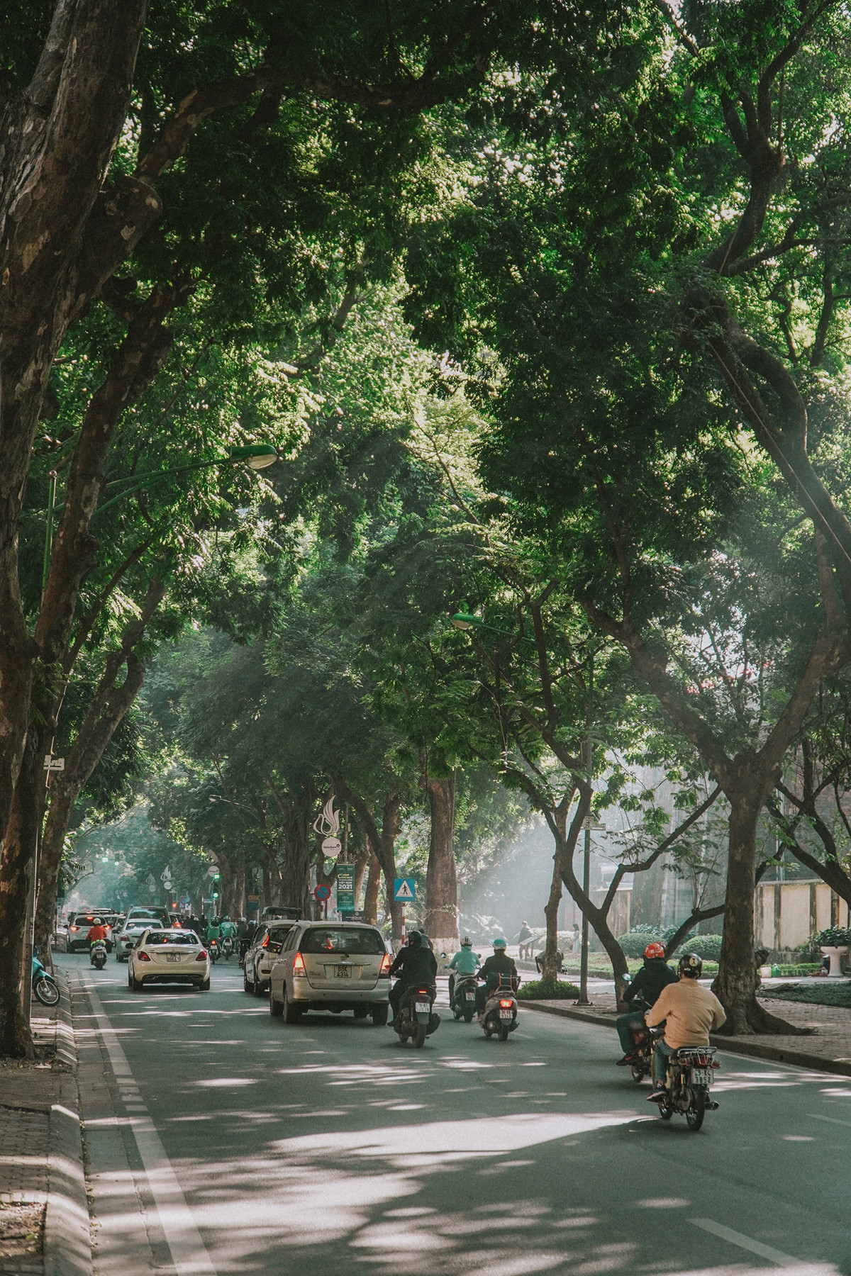 Vừa đẹp lại lãng mạn, con đường được mệnh danh như Hàn Quốc điển hình như đường Kim Mã, Phan Đình Phùng, con đường kéo dài từ khu biệt thự Tây Hồ qua khách sạn Tây Hồ, con đường Hàn Quốc ở khu Ngoại giao đoàn...cũng là điểm check in lý tưởng ngày Valentine.