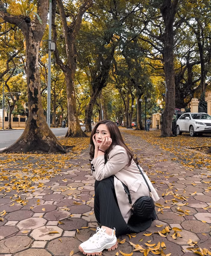 Là một trong những con đường đẹp nhất ở Hà Nội, đường Phan Đình Phùng thu hút rất đông khách du lịch tham quan và chụp ảnh, điểm nhấn đặc biệt là ở hai hàng cây rợp bóng, tạo thành mái vòm bao phủ khắp con đường. Ảnh: Tổng hợp Internet