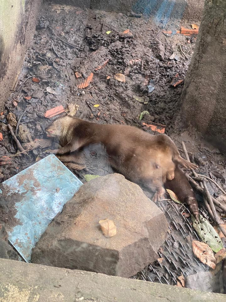 Ảnh: Sài Gòn của tôi