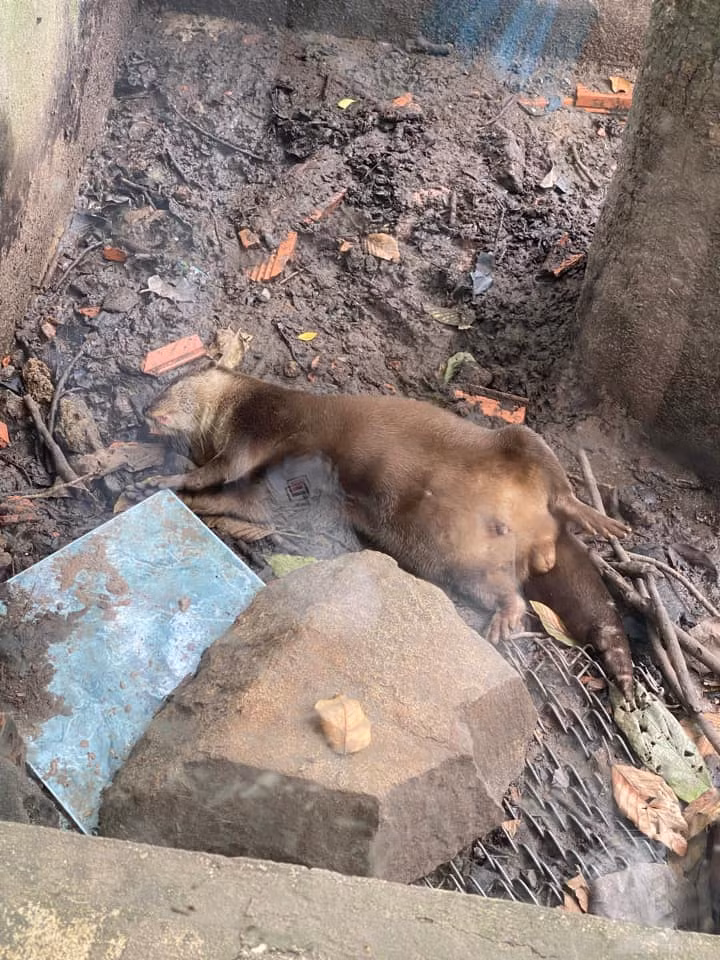 Ảnh: Sài Gòn của tôi